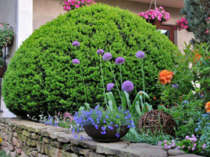 taxus-xmedia-kazio-pbr-1--4-